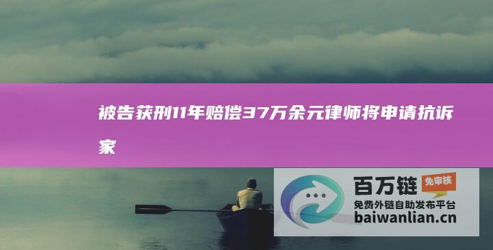 被告获刑11年赔偿37万余元 律师将申请抗诉 家庭暴力案件宣判 (被告人被判刑怎么要赔偿)